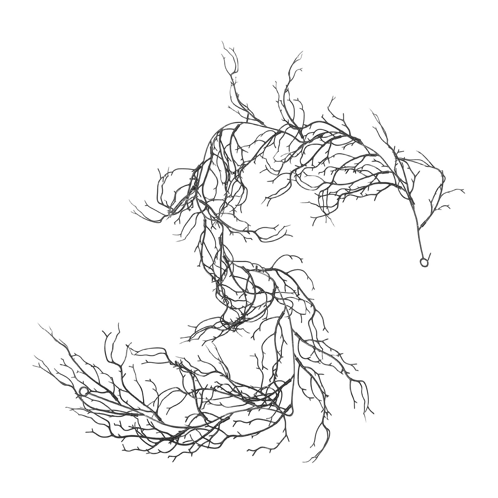 Flexible Black Curly Willow Br - огляд і ціна Branch Curly Willow