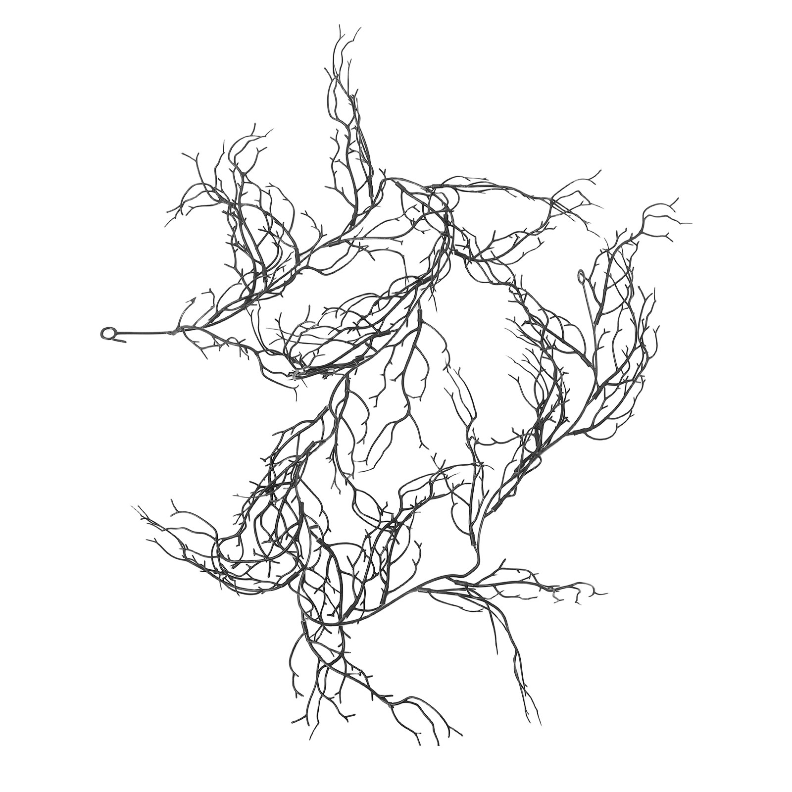 Flexible Black Curly Willow Br - огляд і ціна Branch Curly Willow