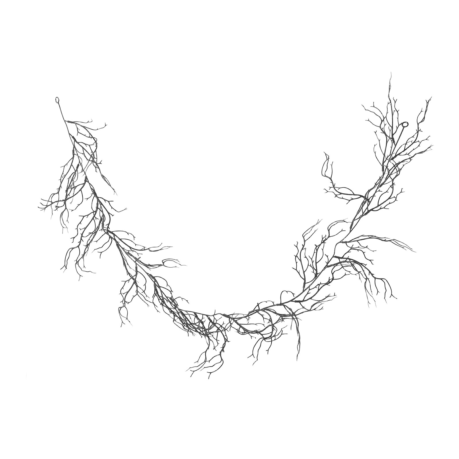 Flexible Black Curly Willow Br - огляд і ціна Branch Curly Willow